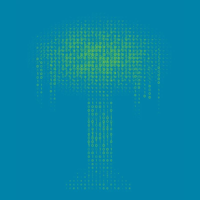 Binary Tree Encoding Computer Programmer