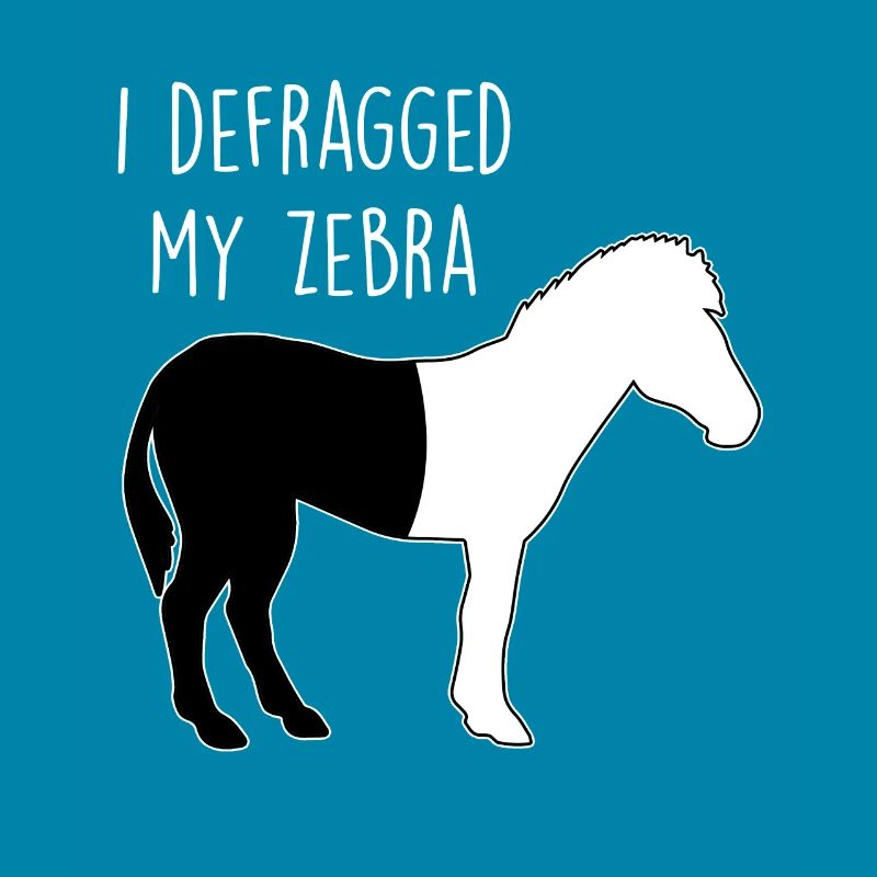 I defragged my Zebra Coder Computer Scientist Hacker