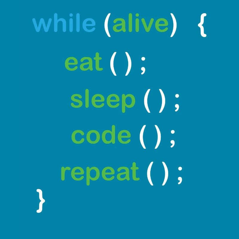 Python Coding Software Developer