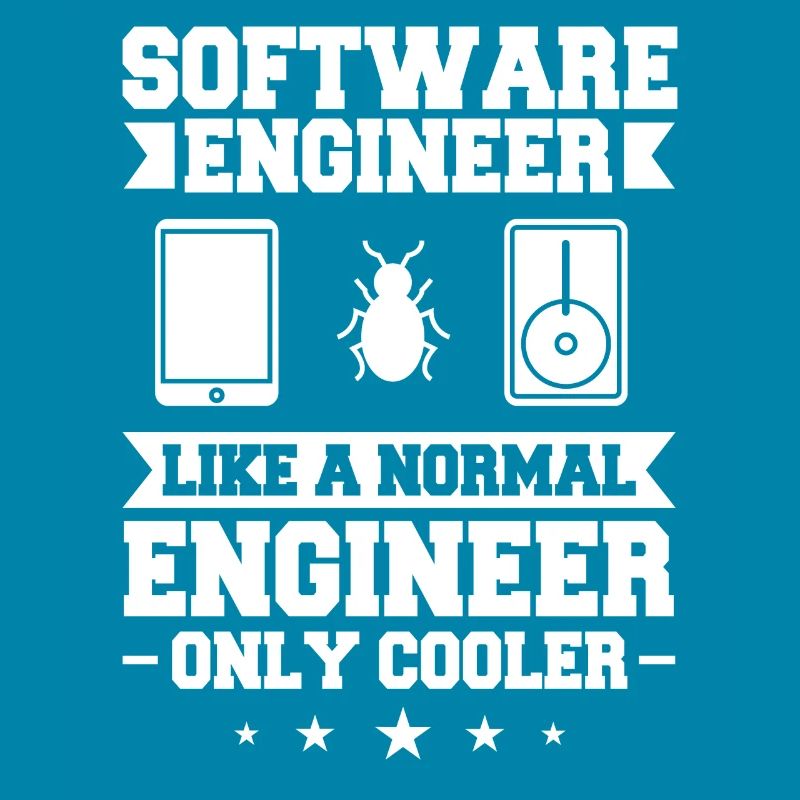 Software Engineering Softwaretechnik Ingenieur