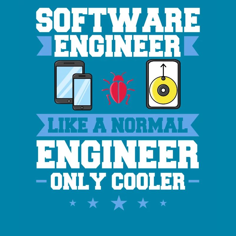 Software Engineering Softwaretechnik Ingenieur