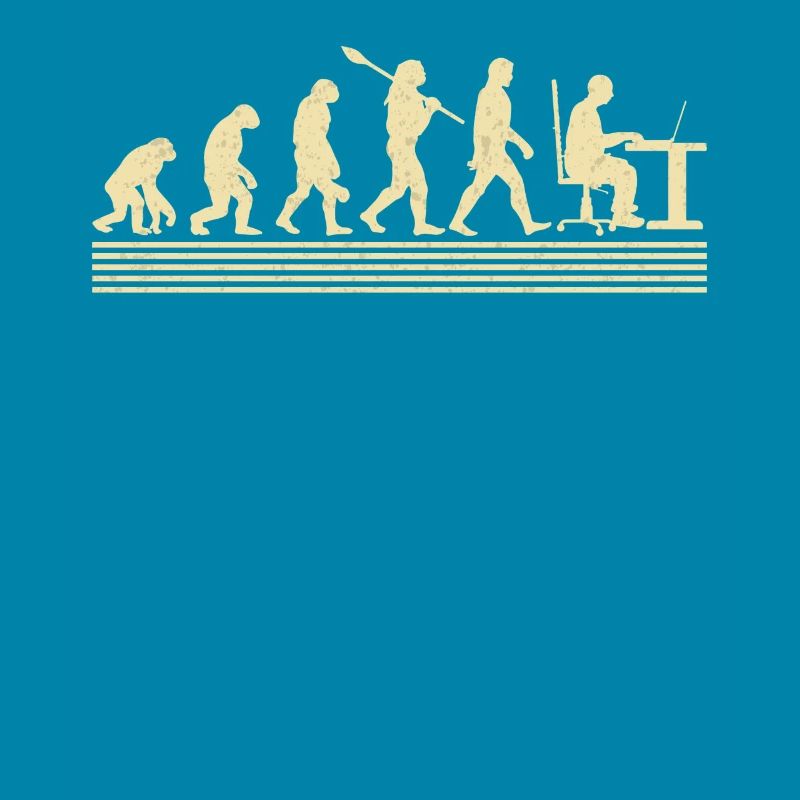 Software-entwickler-evolution