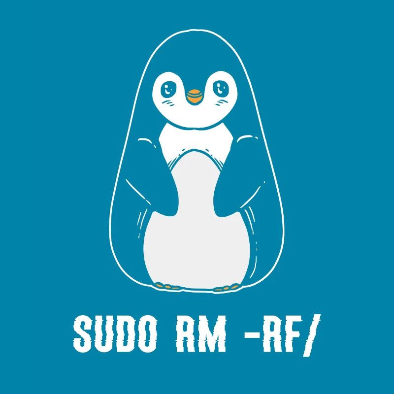 sudo rm rf / Programmeur informatique Linux