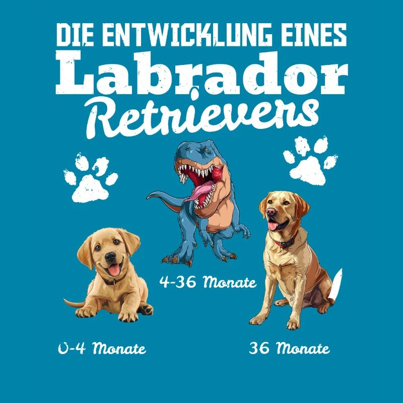 Hundebesitzer DIE EVOLUTION EINES LABRADOR