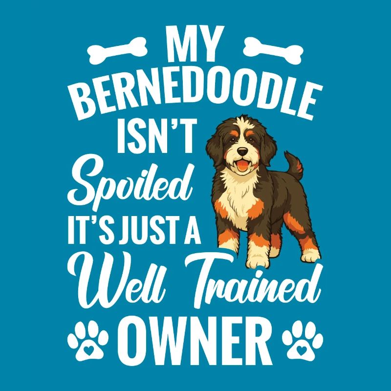 Mon Bernedoodle n’est pas gâté, c’est juste