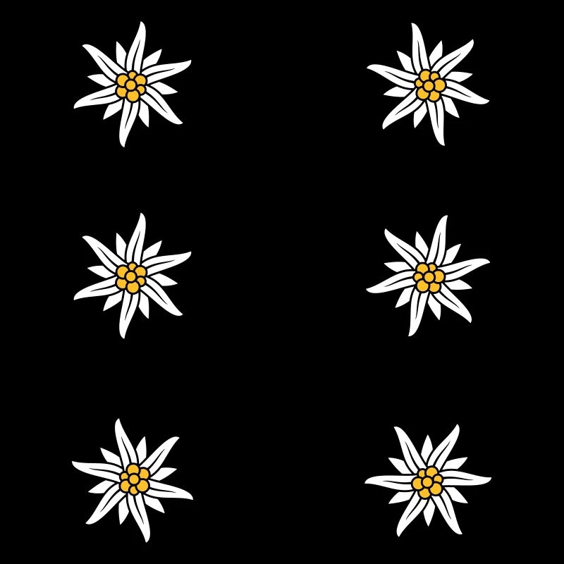 Dirndl apron Edelweiss