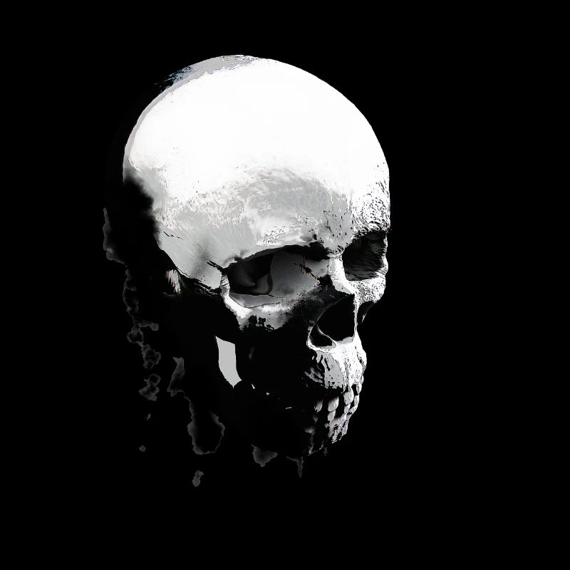 SKULLe