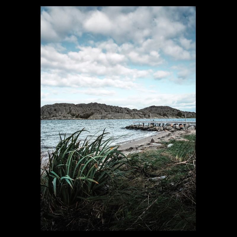 mare