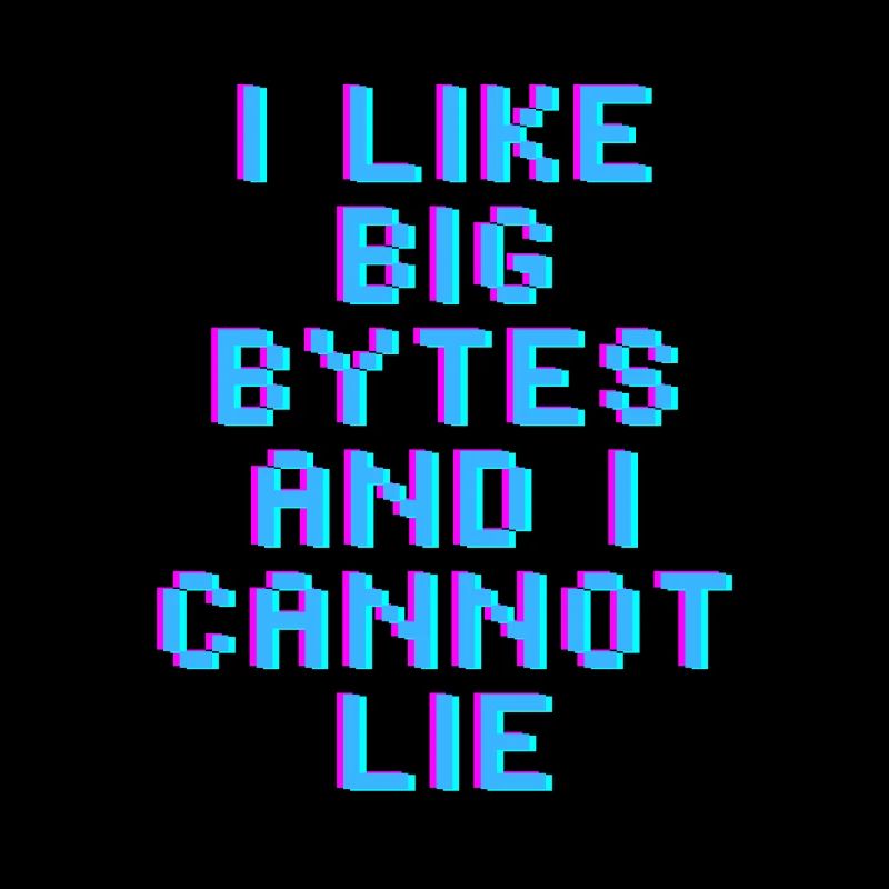 I like big bytes