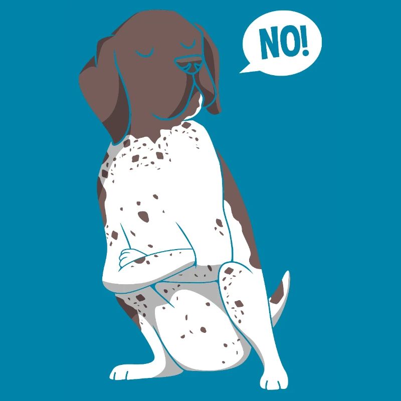 German Pointer Hund Deutsch Kurzhaar