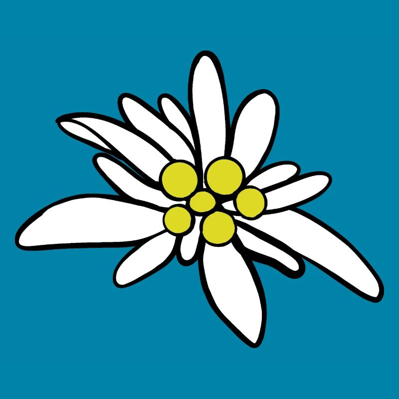 Edelweiß 1