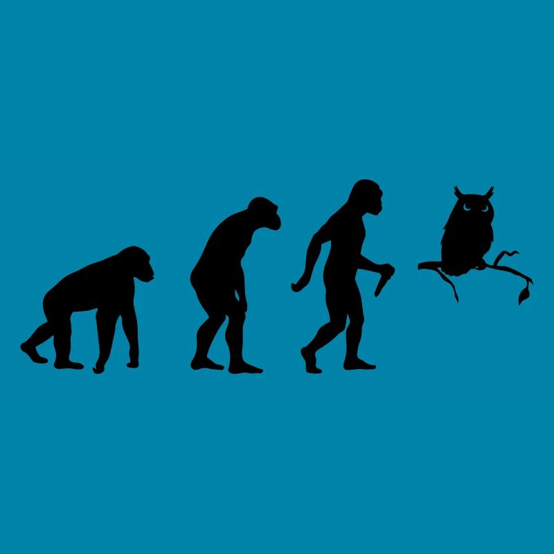 Owl Evolution