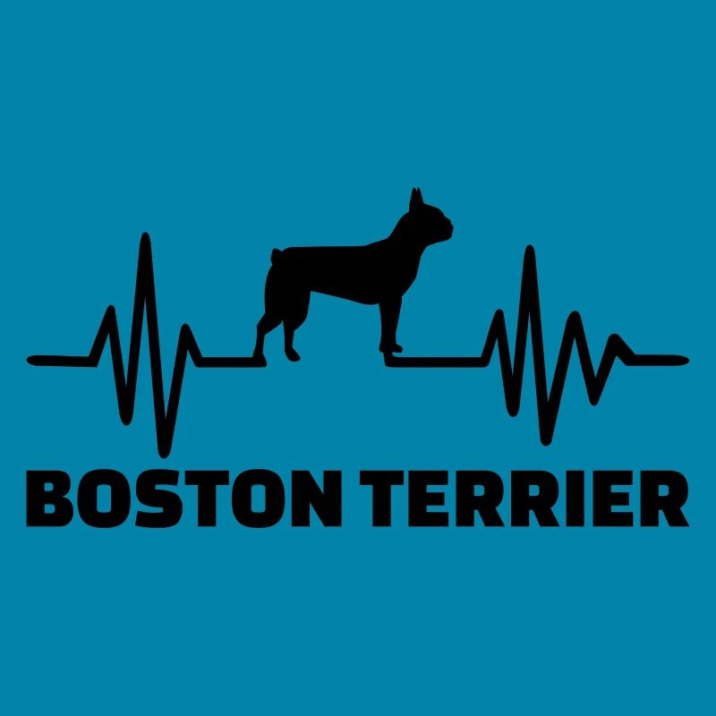 Boston Terrier