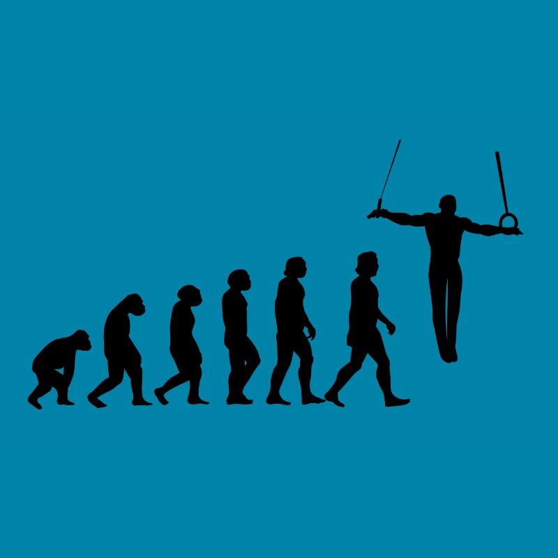 Evolution Turner Wrestling Cross Hang Iron Cross