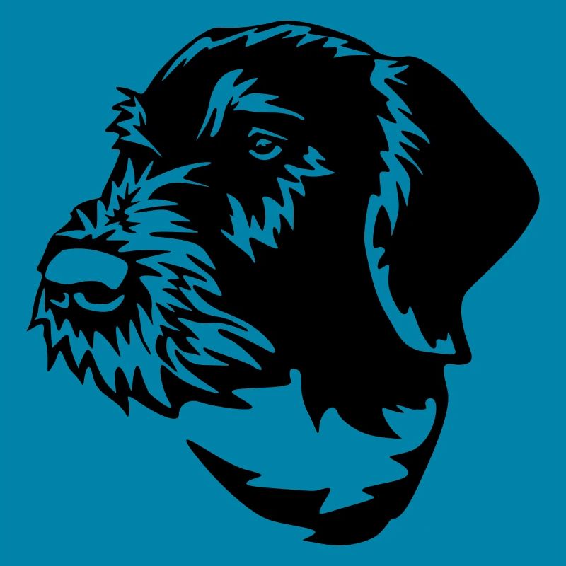 German Wirehaired Pointer