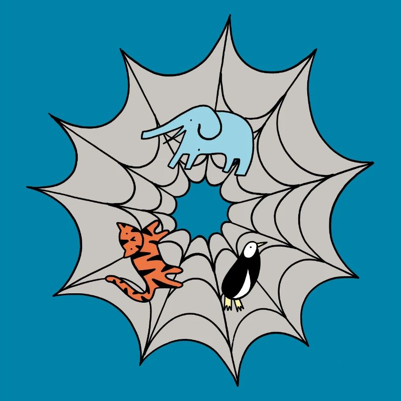 Spider web