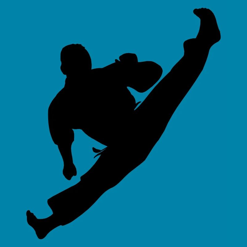 Jumpkick Geri Kick Karate oder Teakwondo