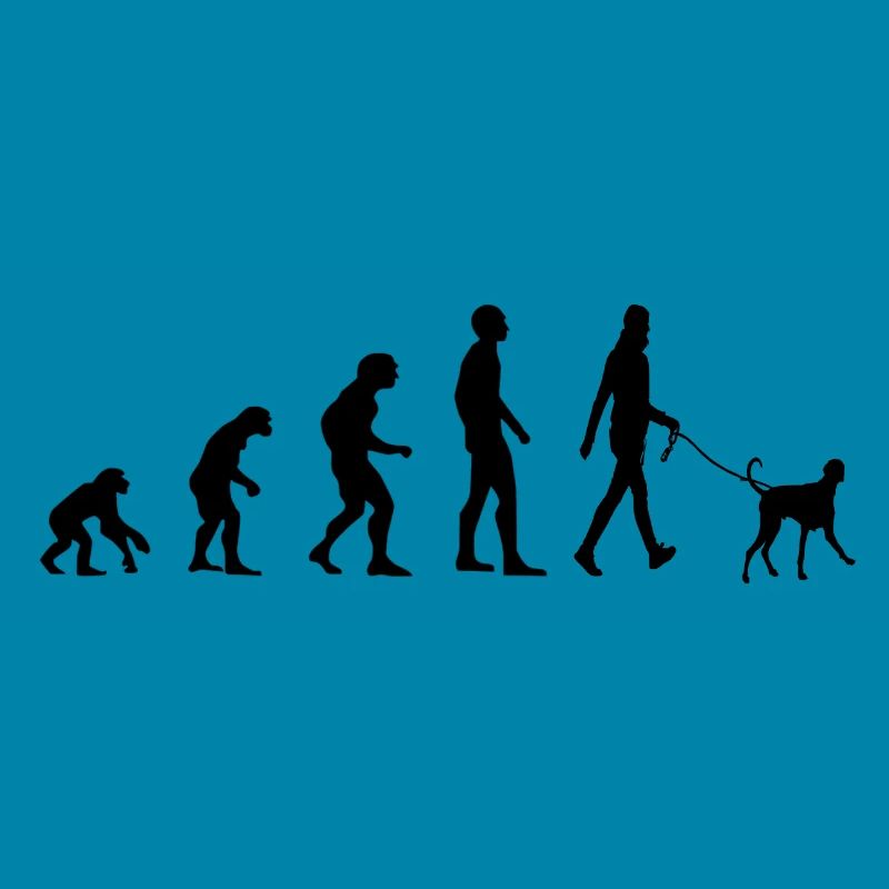 Évolution du chien propriétaire de chien