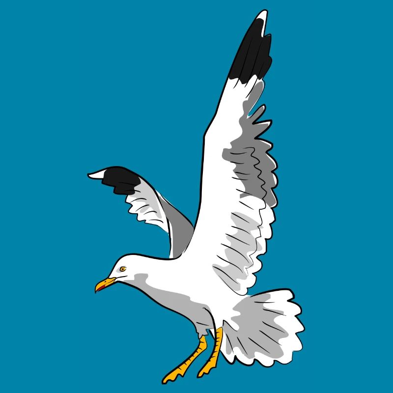 vogel möwe strand