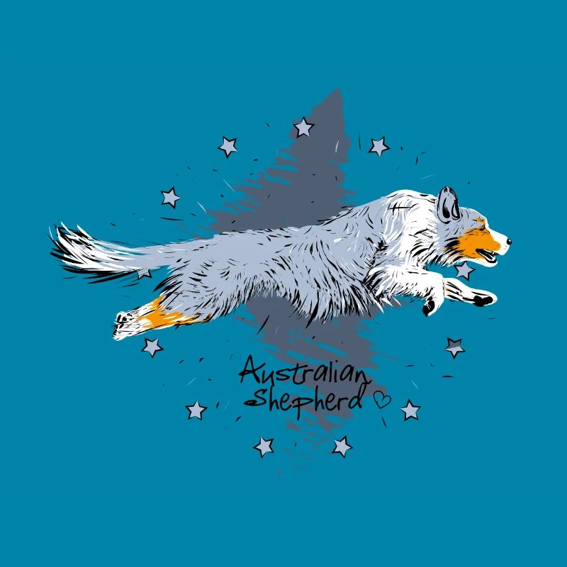 Aussie, blue merle