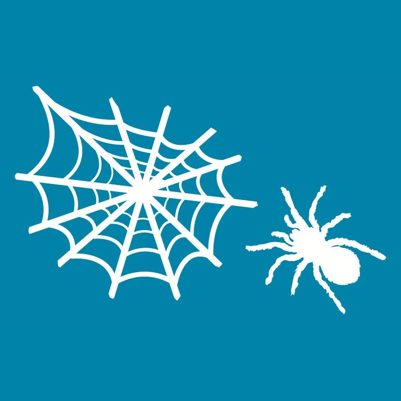 spider spider web