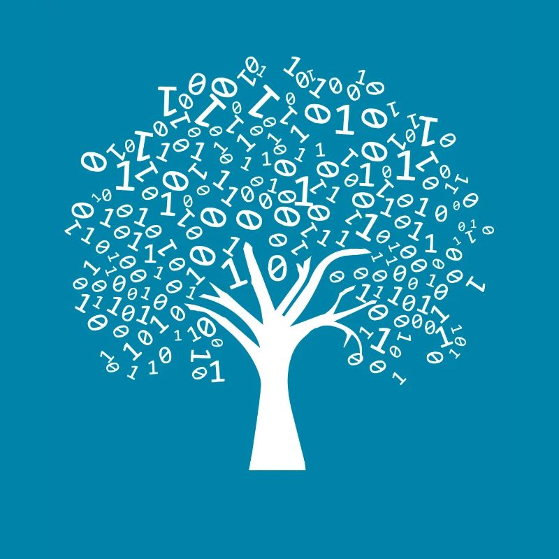 Programmierer Binärer Baum