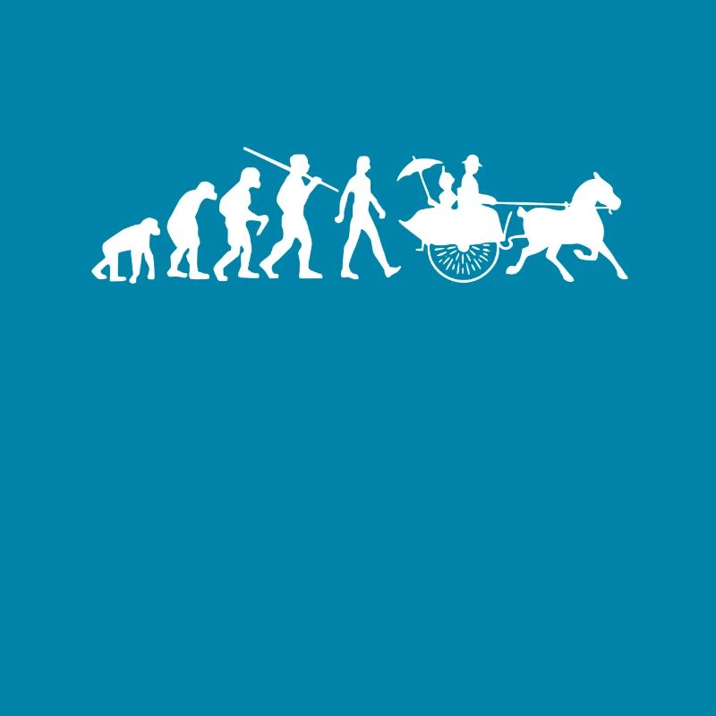 Carriage Evolution Coachman