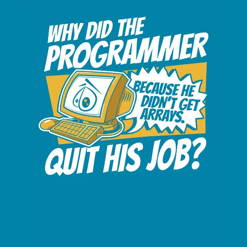Why Did Programmer Quit Job Developer Coder
