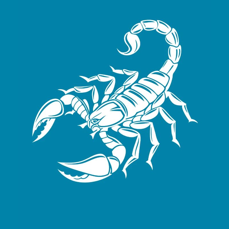 Scorpion - Dard venimeux - Conservation des espèces - Habitat