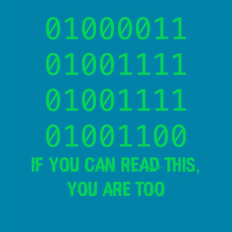 Computer Binary Code Developers Gift