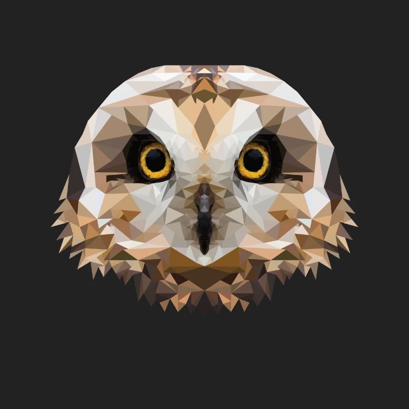 Polygon Sumpfohreule, Eule, Polygon, Tier, Vogel