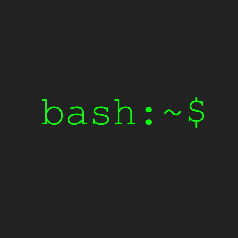 Console shell bash Linux