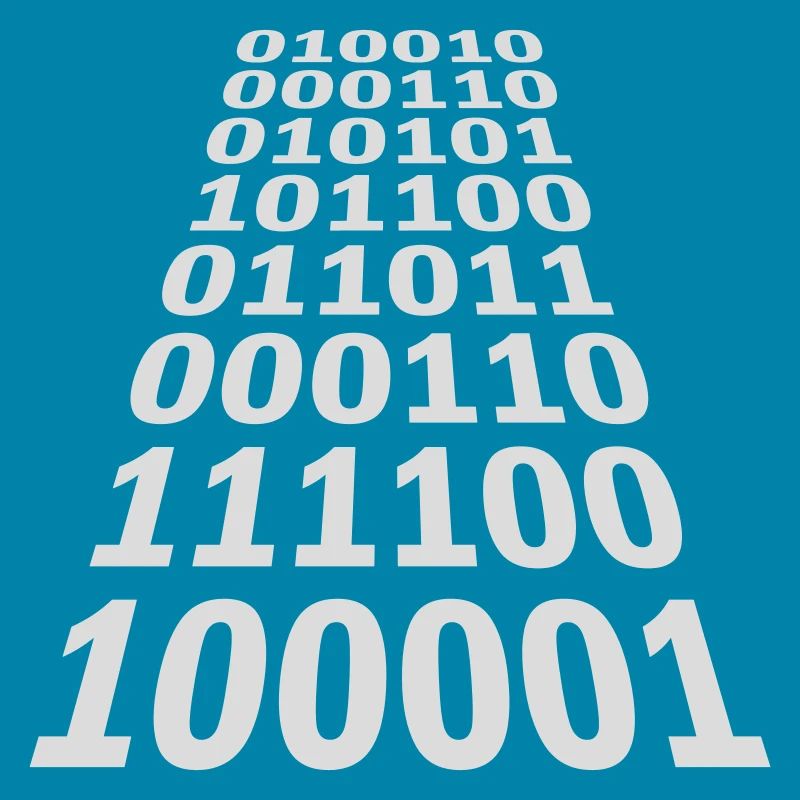 Binär Code Programm Sprache