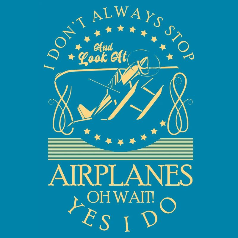 Model Airplane Hobby Pilot Model