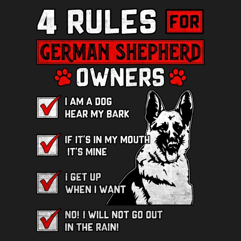 4 Rules for German Shepherd Owners