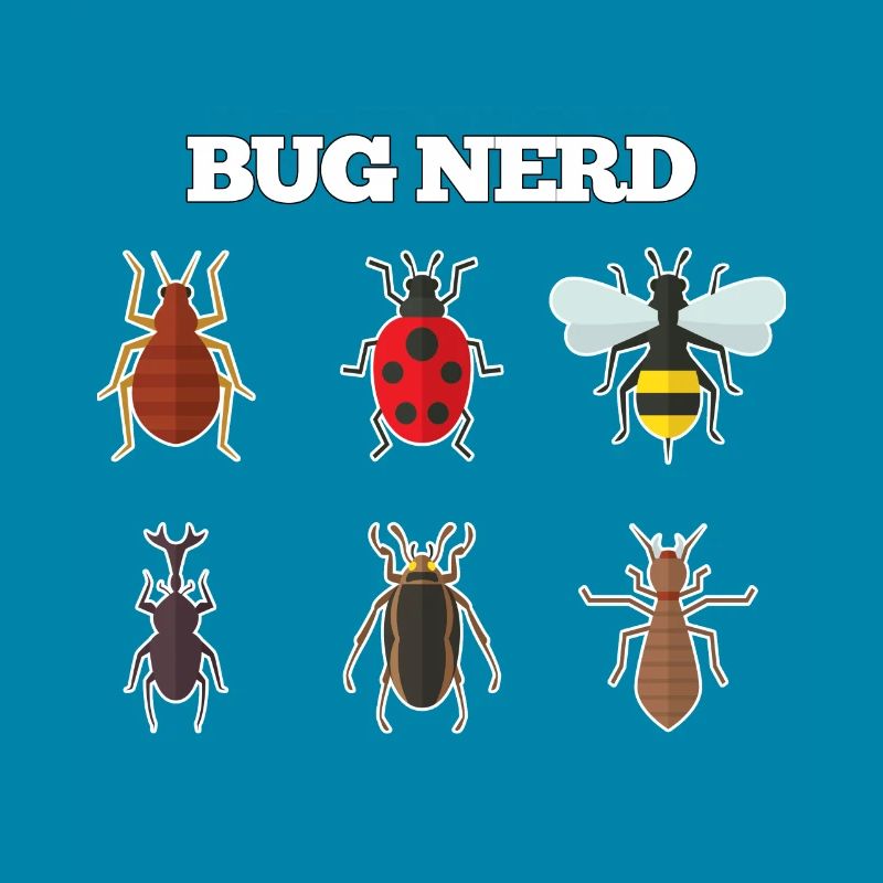 Bug Nerd