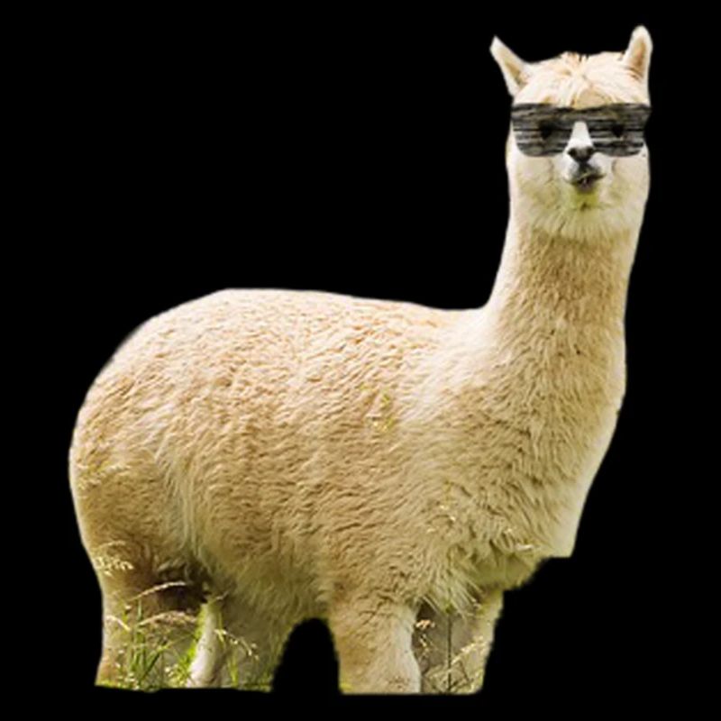 Alpaca Bro
