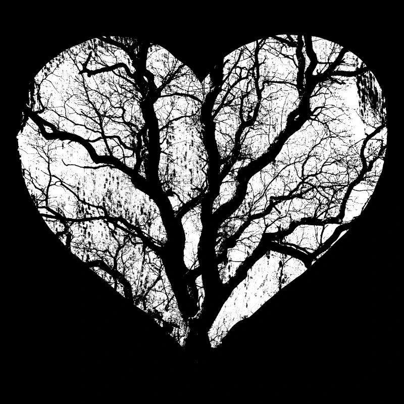 Tree Forest Nature Heart