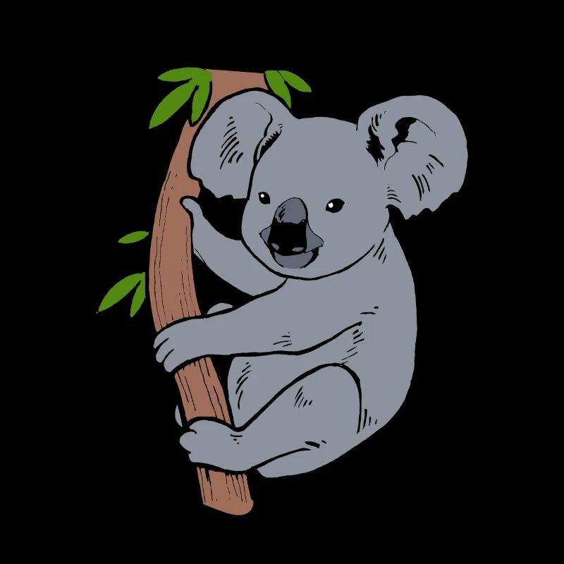 Koala