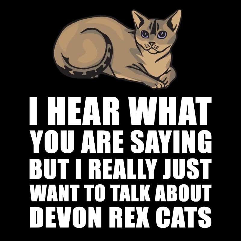 Devon Rex Cat cadeau mignon