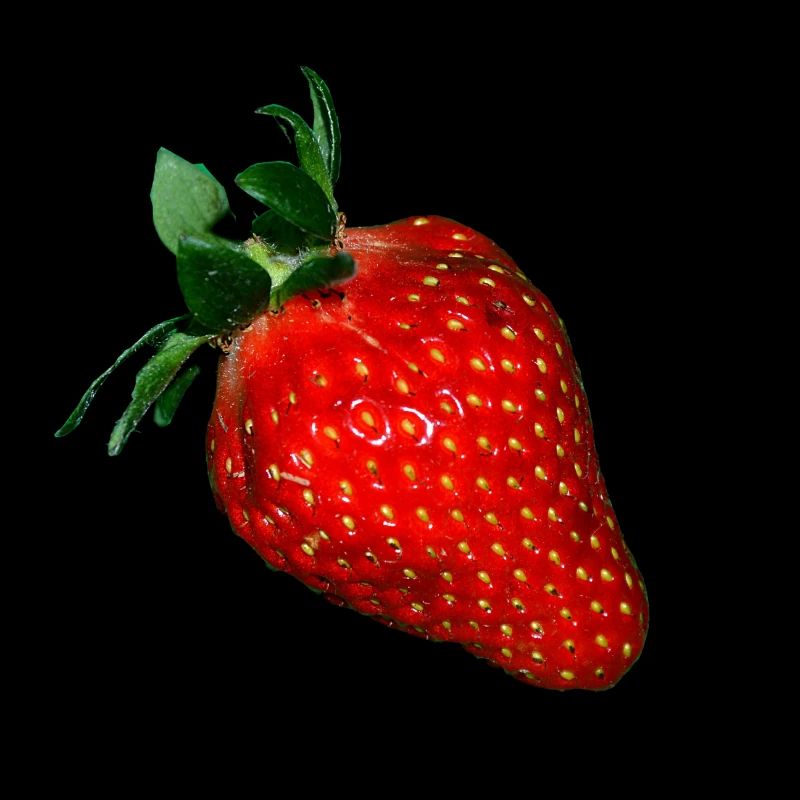 Erdbeere