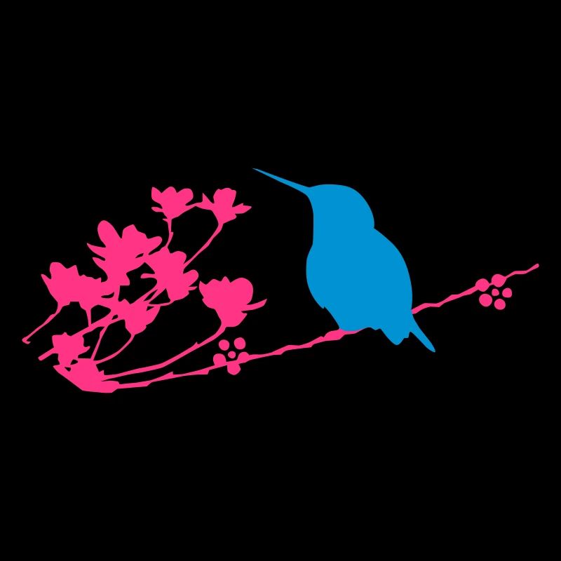 kolibri2