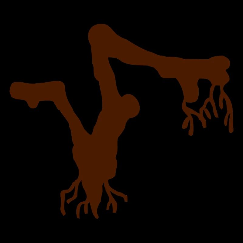 Root