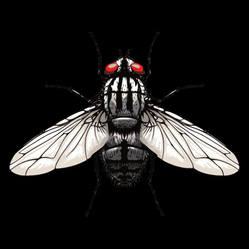Fliege