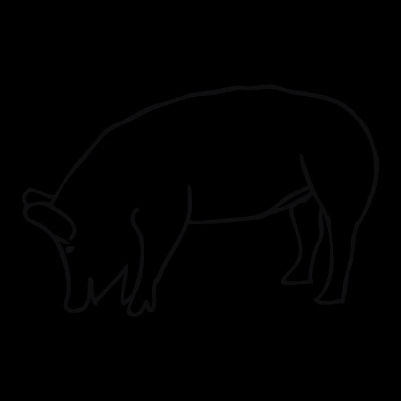 schwein