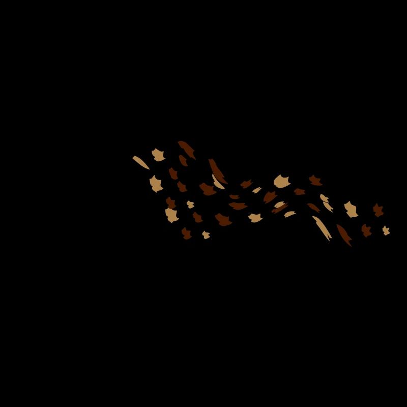 Autumn leaves tree wind