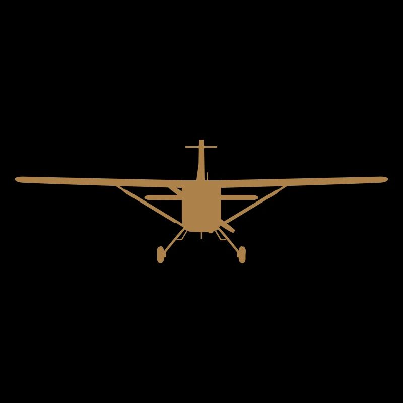 Flugzeug-Silhouette von vorn [vec]