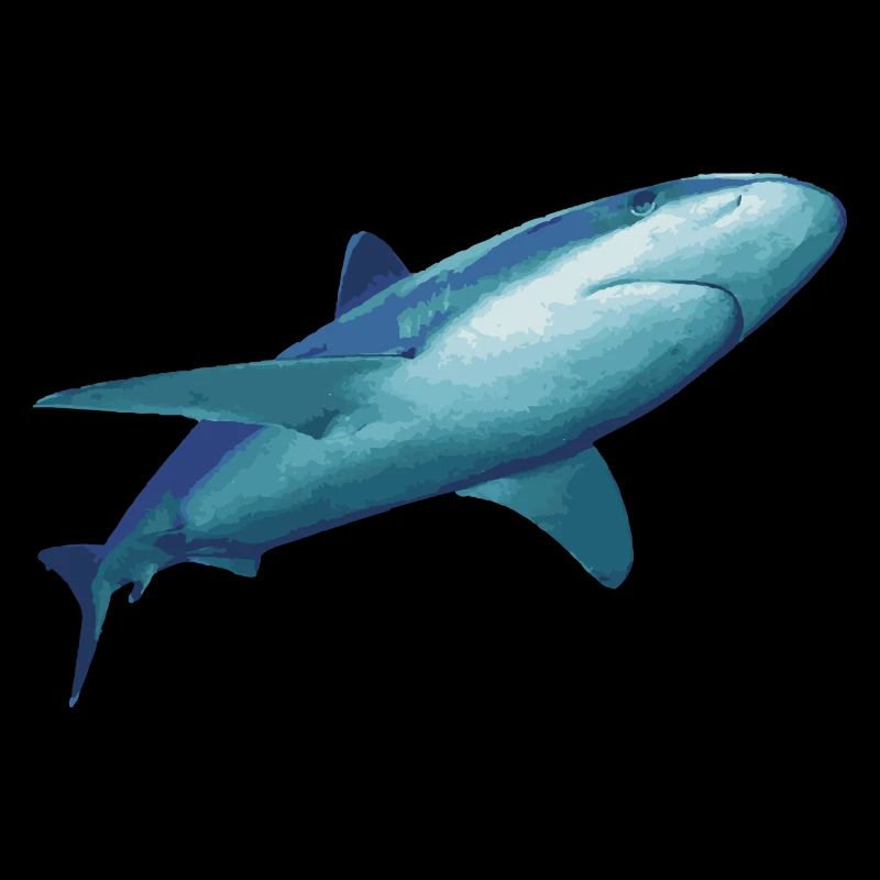 shark