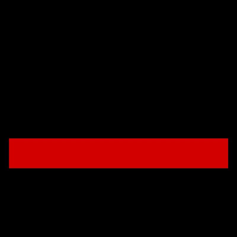 DRAPEAU POLOGNE