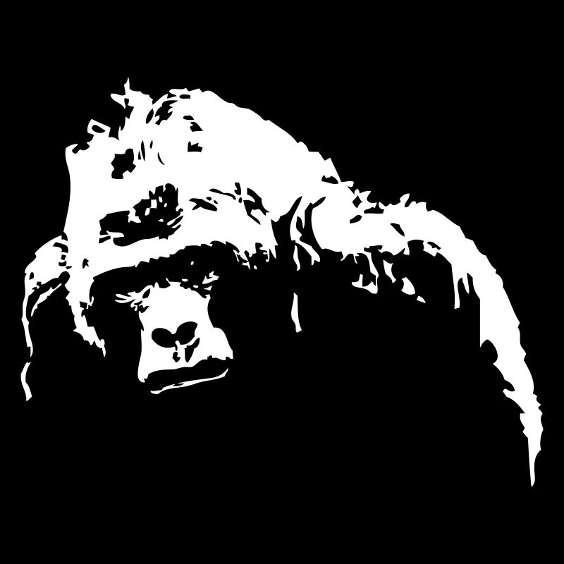 gorilla